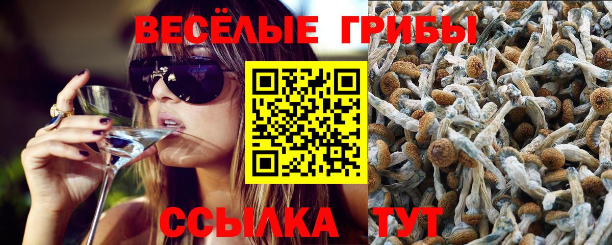 Кунгур  Галлюциногенные грибы GOLDEN TEACHER  Вход с VPN 
